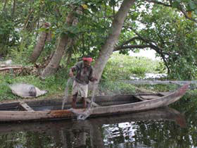 Worker in the Backwaters